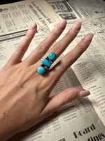 Load image into Gallery viewer, The Gila
