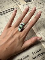 Load image into Gallery viewer, The Gila
