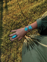 Load image into Gallery viewer, The Bronco
